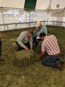 2018 judges inspecting a hay bale. 